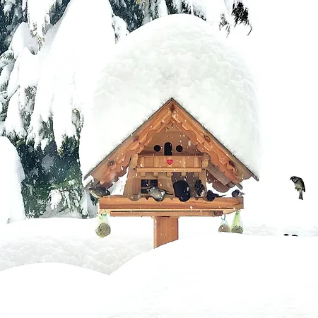 Gästehaus Herma Ramsau am Dachstein Exterior foto