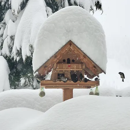 Gästehaus Herma Ramsau am Dachstein Exterior foto