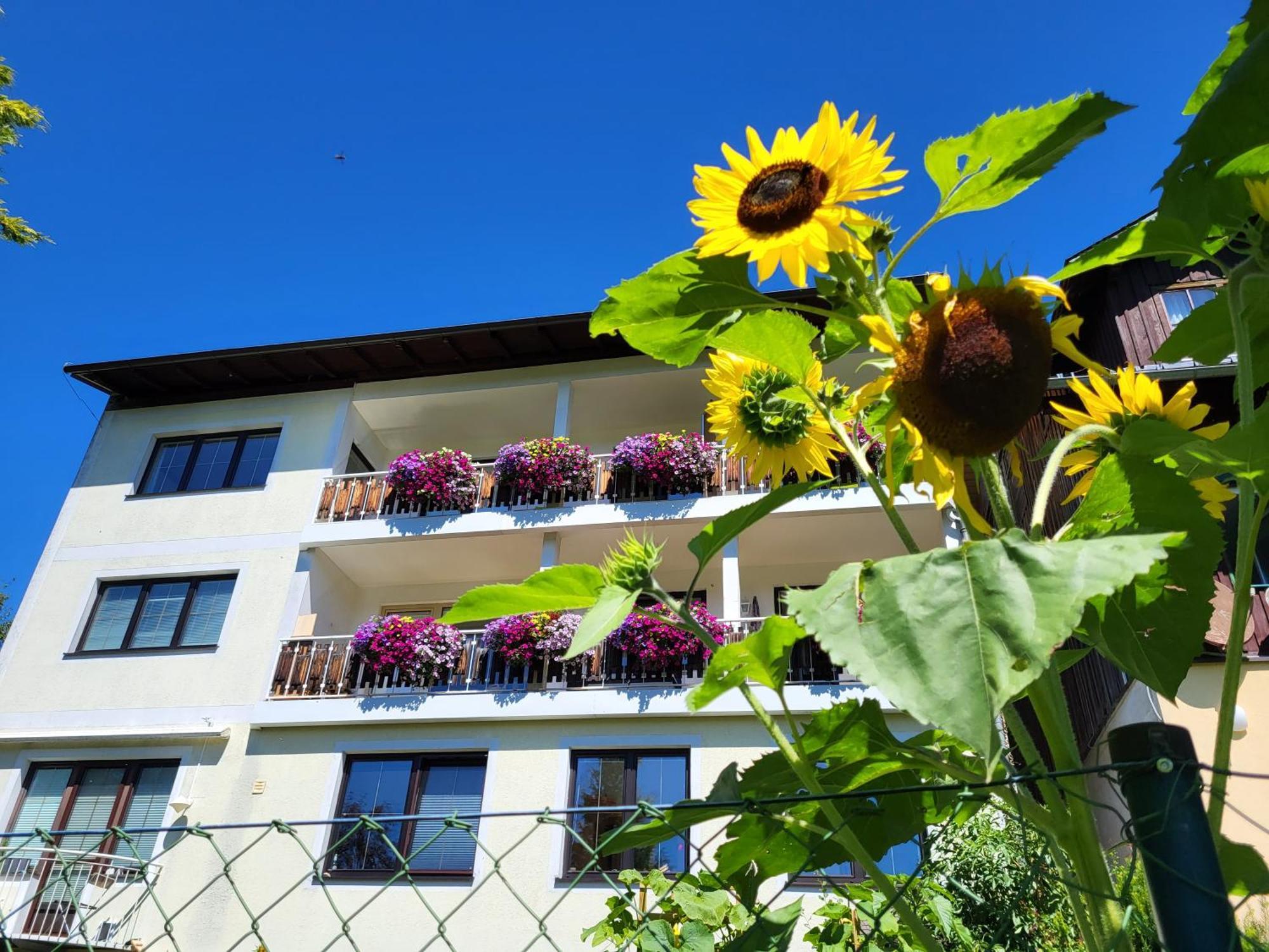Herma Apartment